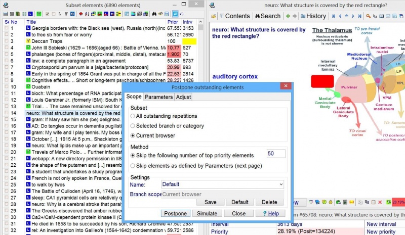 SuperMemo: The Scope page of the Postpone outstanding elements dialog box