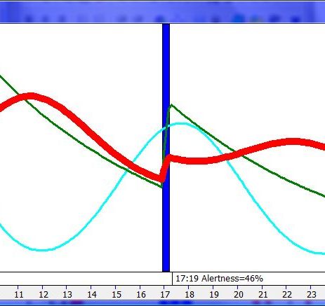 Two-component model in SuperMemo shows how a 19 min. nap can nearly double the homeostatic component of alertness (green line)