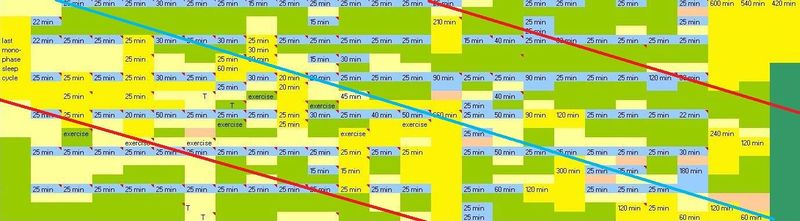 Bryan's polyphasic sleep attempt log with detailed annotations