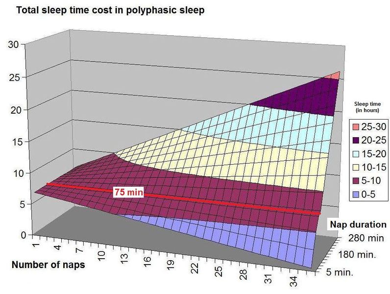 Total sleep time cost in polyphasic sleep