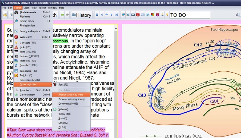 SuperMemo: Search menu which you can use to search your collection for texts, images, sounds, templates, categories, references, fonts, etc.