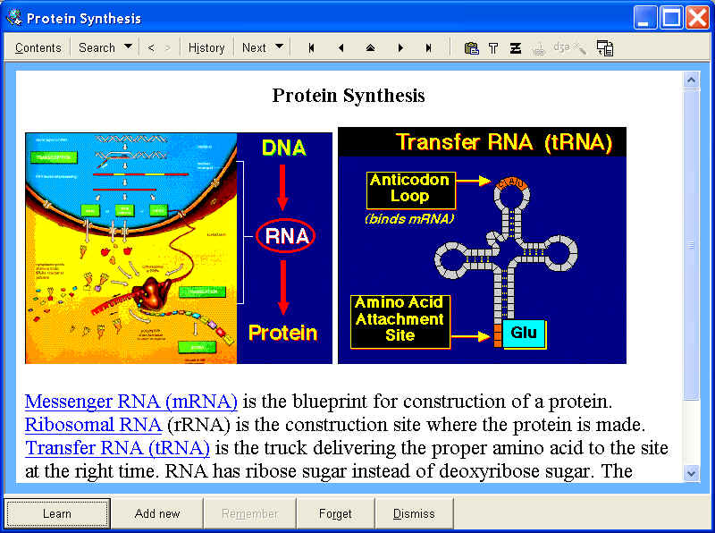 Entire website in a single element (91572 bytes)